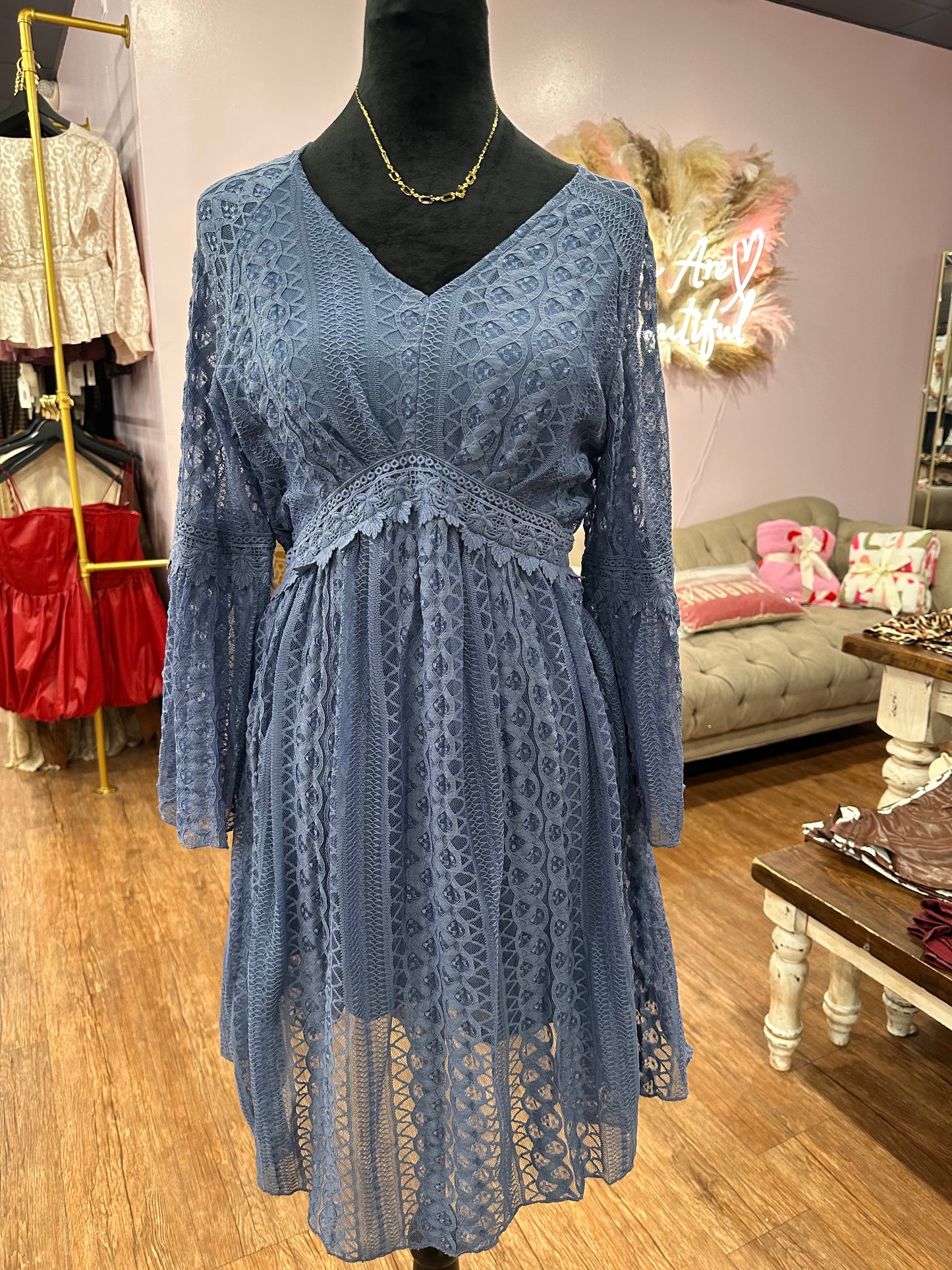 Lined Lace Long Sleeve Dress