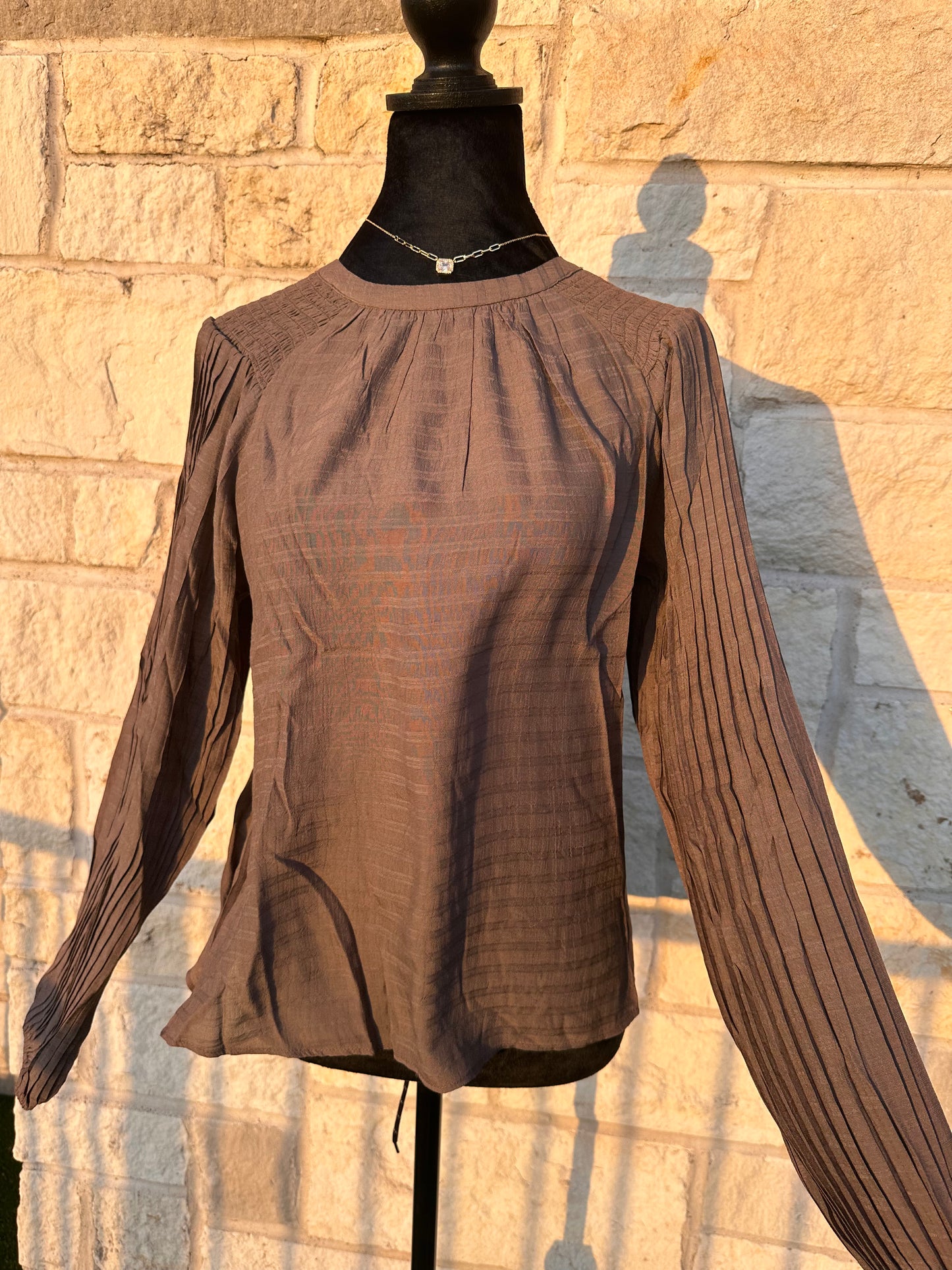 Pleated Sleeves Blouse